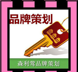 品牌策划 营销策划 产品推广策划书 企划书 品牌故事 公